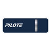 Pilote 150 heures